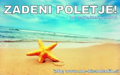 zadeni poletje